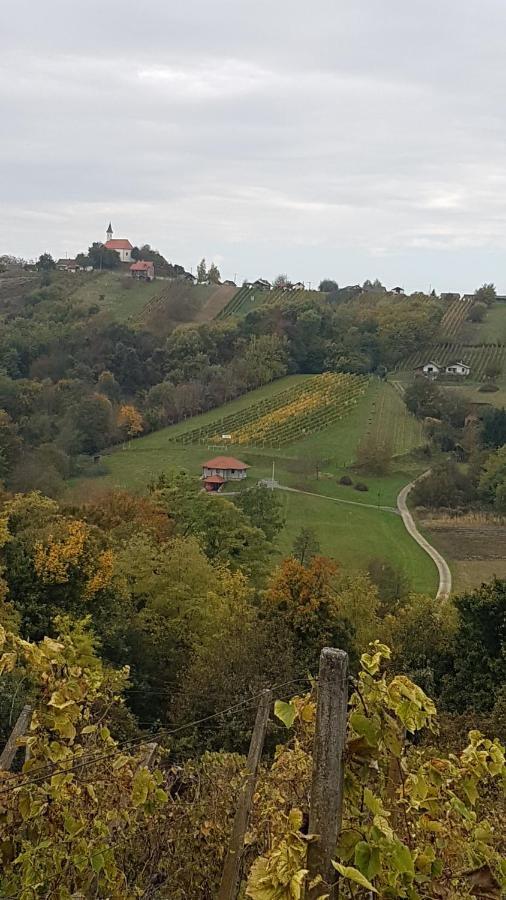 Kuca Za Odmor Nina Villa Sveti Martin Na Muri Exterior photo